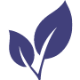 NMN, NAD, Resveratrol, TMG og Fisetin er rene hos AgeLab