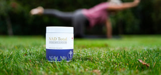 Kjøp NAD+ i Norge, NAD Total, Nikotinamid Ribosid, NMN, Nicotinamide mononucleotide supplement fra AgeLab.no